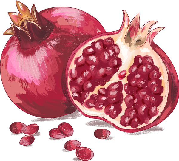 Painterly Hanukkah Pomegranate Fruit